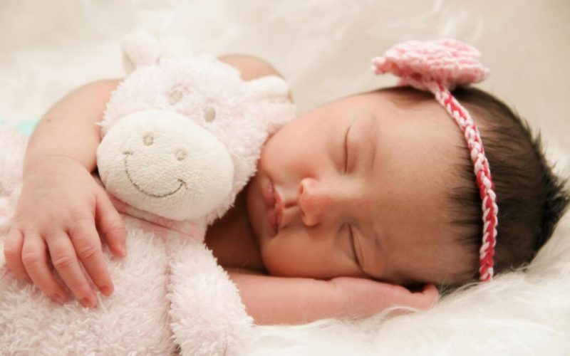 How does Family Aims help you choose the ideal surrogate in Ukraine?